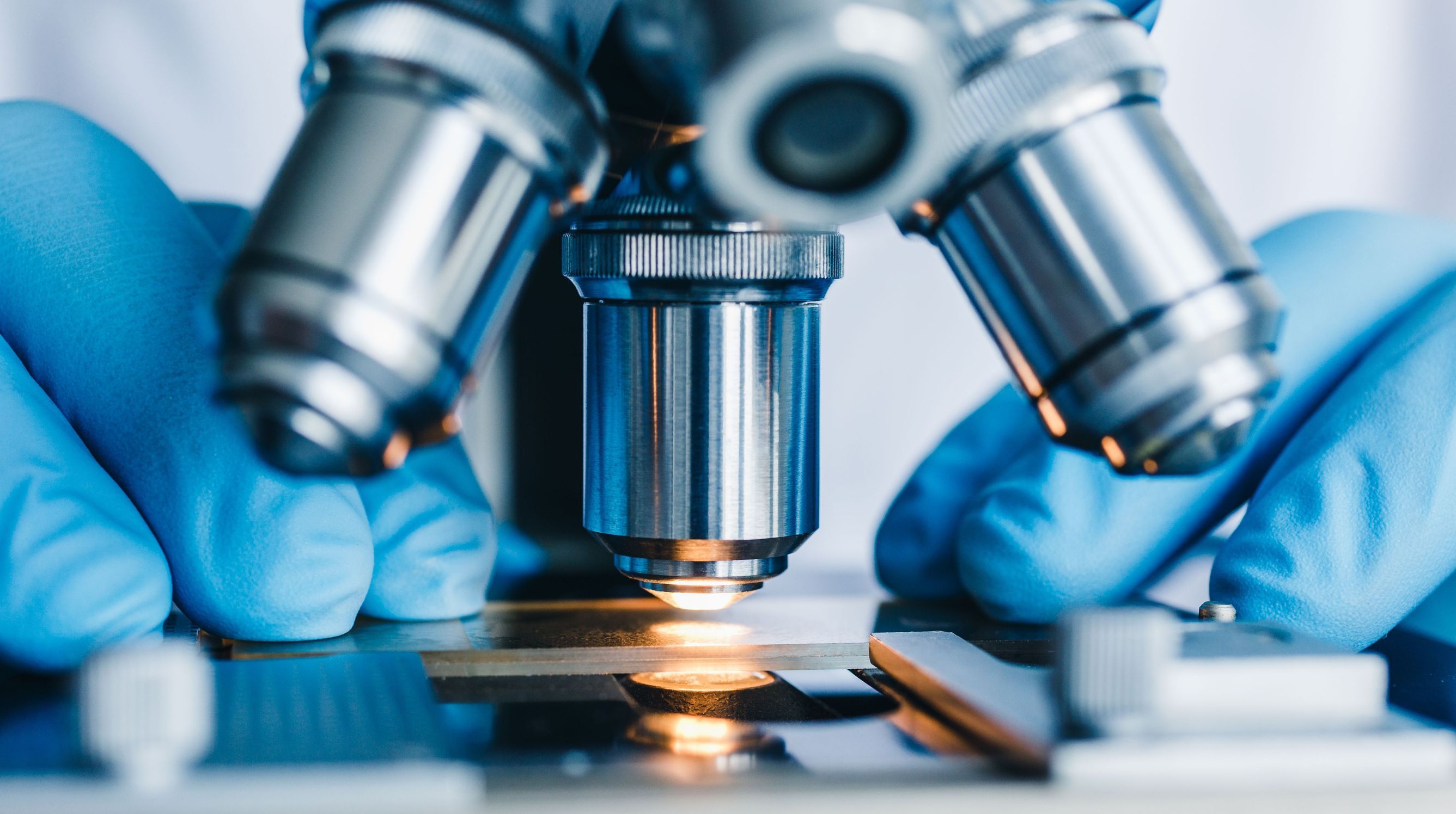 BIOTECH UNDER THE MICROSCOPE
