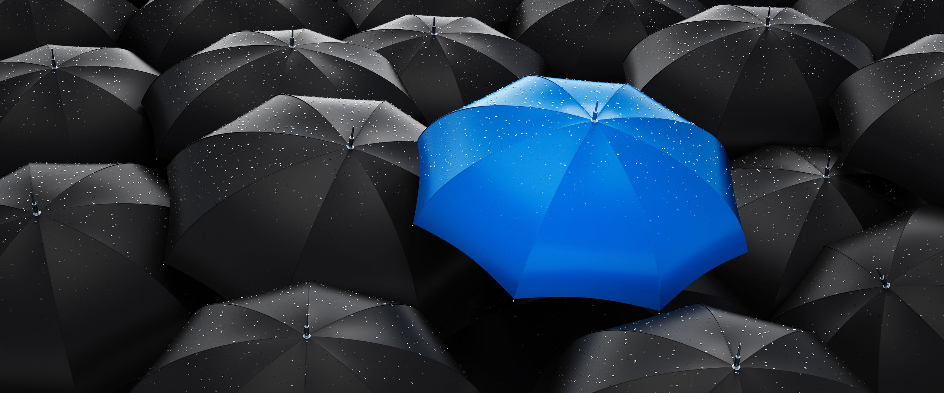 Stand out, even in a storm